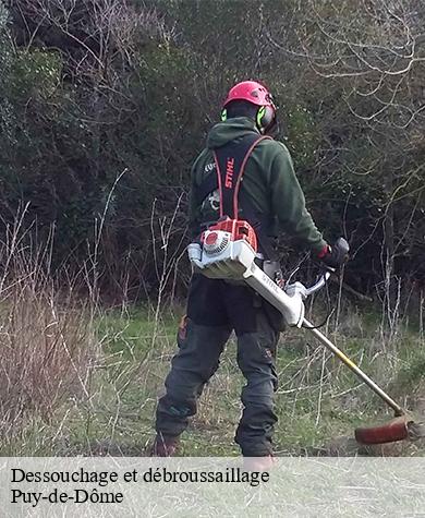 Dessouchage et débroussaillage 63 Puy-de-Dôme  Elagage multi services