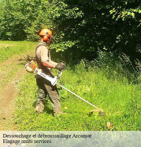 Dessouchage et débroussaillage  arconsat-63250 Elagage multi services