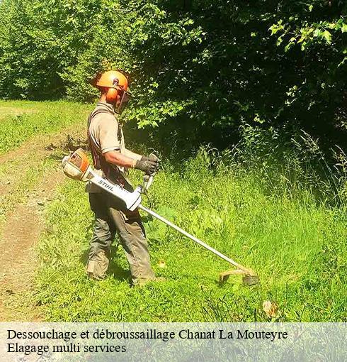 Dessouchage et débroussaillage  chanat-la-mouteyre-63530 Elagage multi services
