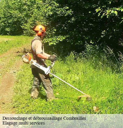 Dessouchage et débroussaillage  combrailles-63380 Elagage multi services