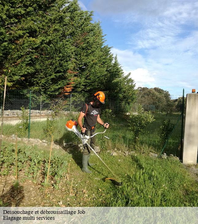 Dessouchage et débroussaillage  job-63990 Elagage multi services