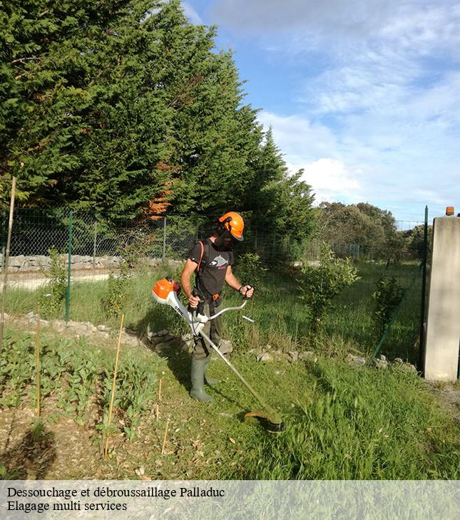 Dessouchage et débroussaillage  palladuc-63550 Elagage multi services