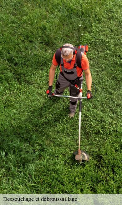 Dessouchage et débroussaillage  saint-amant-roche-savine-63890 Elagage multi services