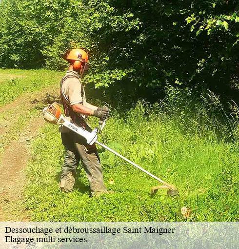 Dessouchage et débroussaillage  saint-maigner-63330 Elagage multi services
