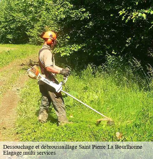 Dessouchage et débroussaillage  saint-pierre-la-bourlhonne-63480 Elagage multi services