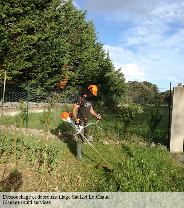 Dessouchage et débroussaillage saulzet-le-chaud-63540 Elagage multi services