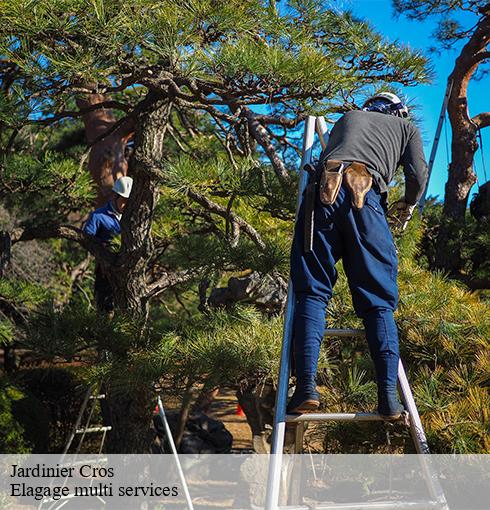 Jardinier  cros-63810 Elagage multi services