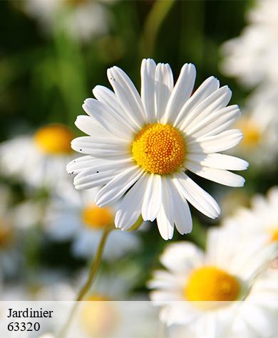Jardinier  saint-floret-63320 Elagage multi services