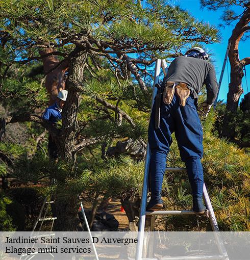 Jardinier saint-sauves-d-auvergne-63950 Elagage multi services