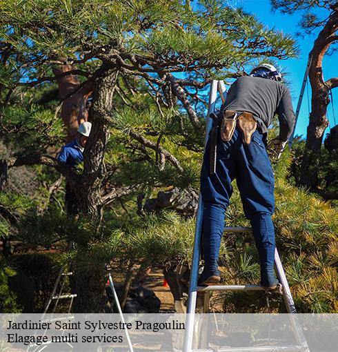 Jardinier  saint-sylvestre-pragoulin-63310 Elagage multi services