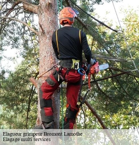 Elagueur grimpeur  bromont-lamothe-63230 Elagage multi services