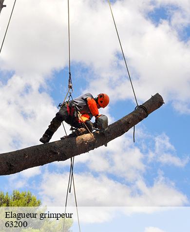 Elagueur grimpeur la-moutade-63200 Elagage multi services