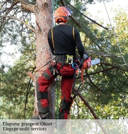 Elagueur grimpeur  olmet-63880 Elagage multi services