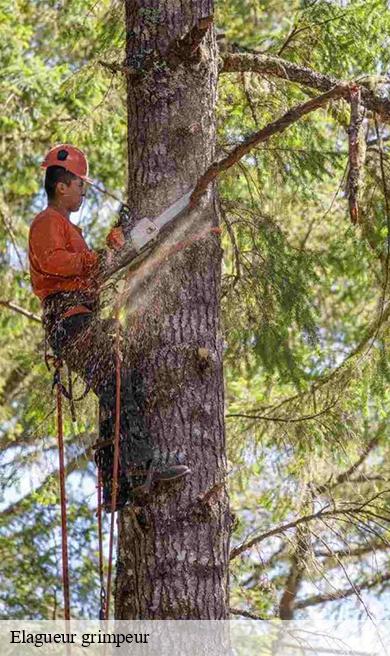 Elagueur grimpeur  saint-alyre-d-arlanc-63220 Elagage multi services