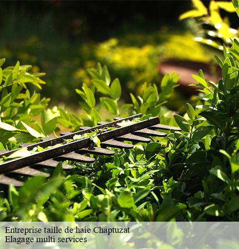 Entreprise taille de haie  chaptuzat-63260 Elagage multi services