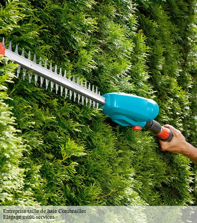 Entreprise taille de haie  combrailles-63380 Elagage multi services