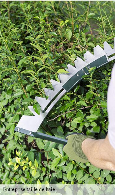 Entreprise taille de haie ludesse-63320 Elagage multi services