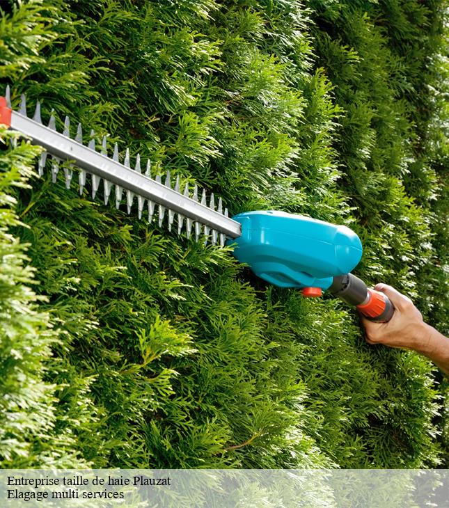 Entreprise taille de haie  plauzat-63730 Elagage multi services