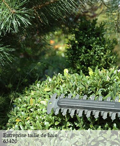 Entreprise taille de haie  rentieres-63420 Elagage multi services