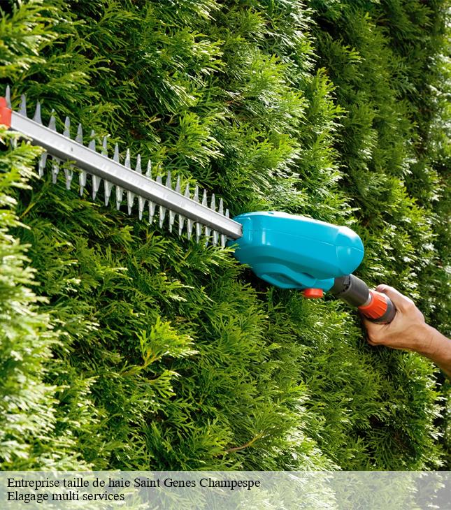 Entreprise taille de haie  saint-genes-champespe-63850 Elagage multi services