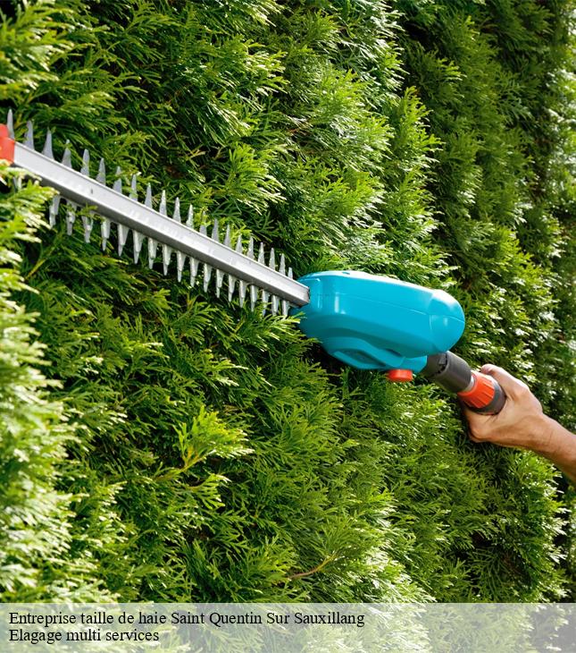 Entreprise taille de haie  saint-quentin-sur-sauxillang-63490 Elagage multi services