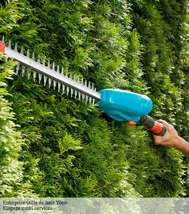 Entreprise taille de haie youx-63700 Elagage multi services