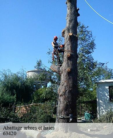 Abattage arbres et haies  apchat-63420 Elagage multi services