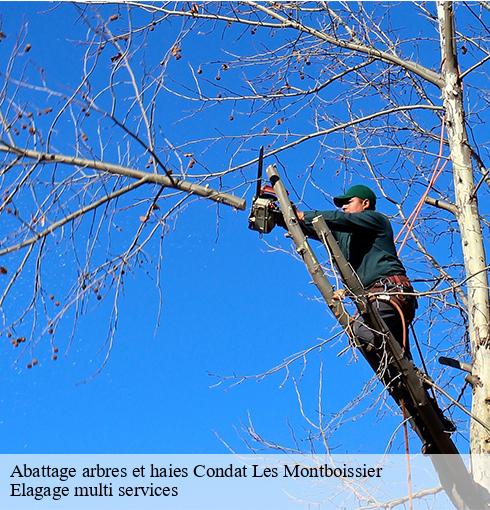 Abattage arbres et haies  condat-les-montboissier-63490 Elagage multi services