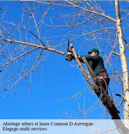 Abattage arbres et haies  cournon-d-auvergne-63800 Elagage multi services