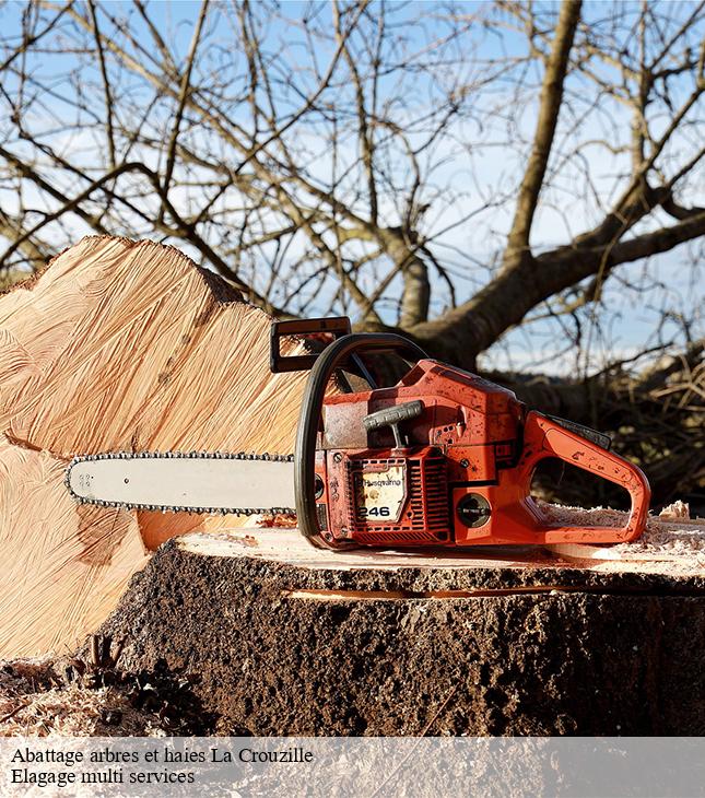 Abattage arbres et haies  la-crouzille-63700 Elagage multi services