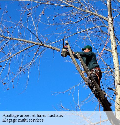 Abattage arbres et haies lachaux-63290 Elagage multi services