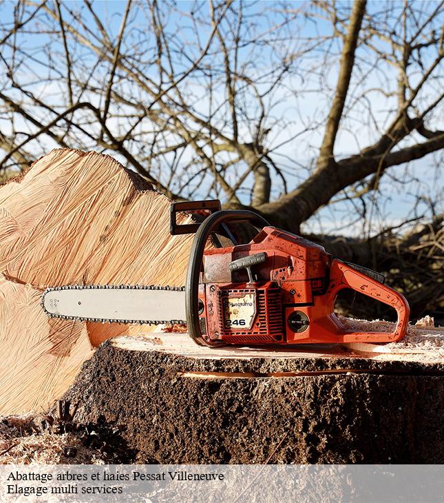Abattage arbres et haies  pessat-villeneuve-63200 Elagage multi services