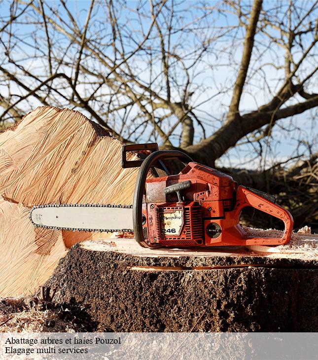 Abattage arbres et haies  pouzol-63440 Elagage multi services