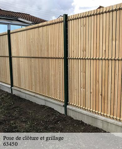 Pose de clôture et grillage  saint-sandoux-63450 Elagage multi services
